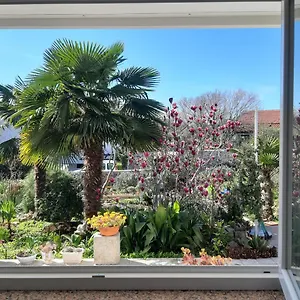Apartment Summer Bloom, Krk Town